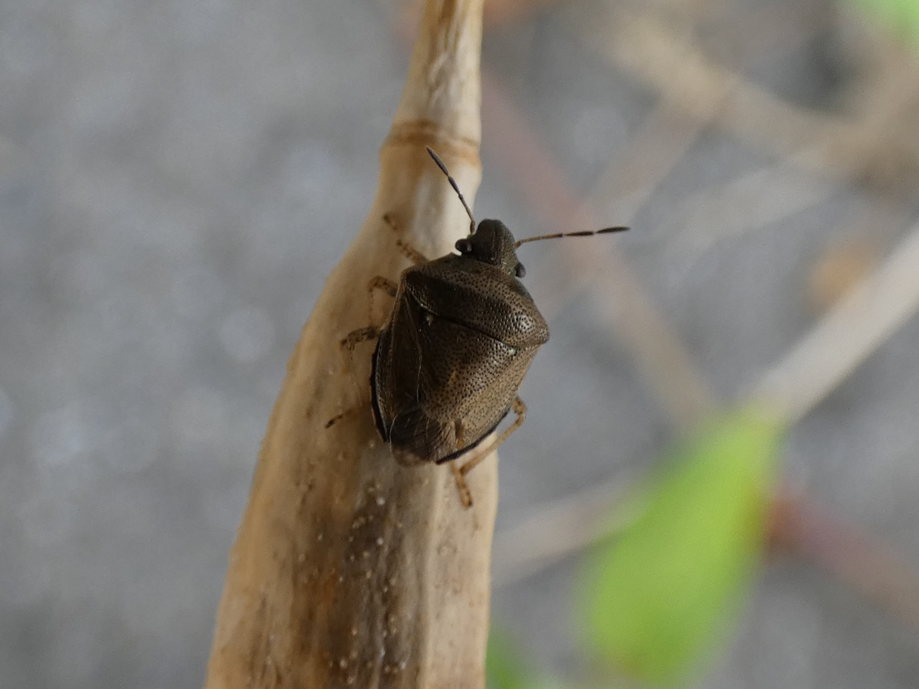 photo_1